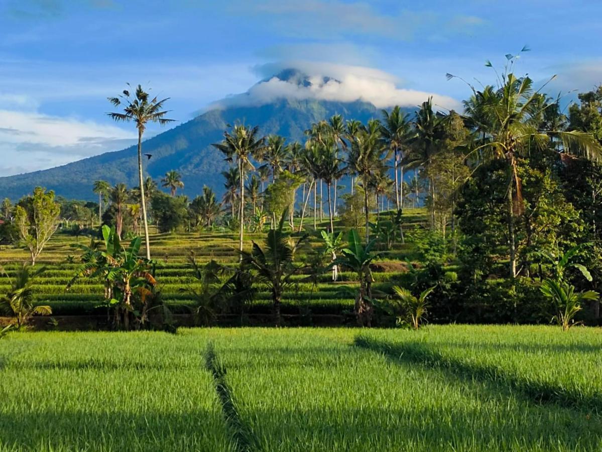 Sawah Ijen Licin Exterior foto