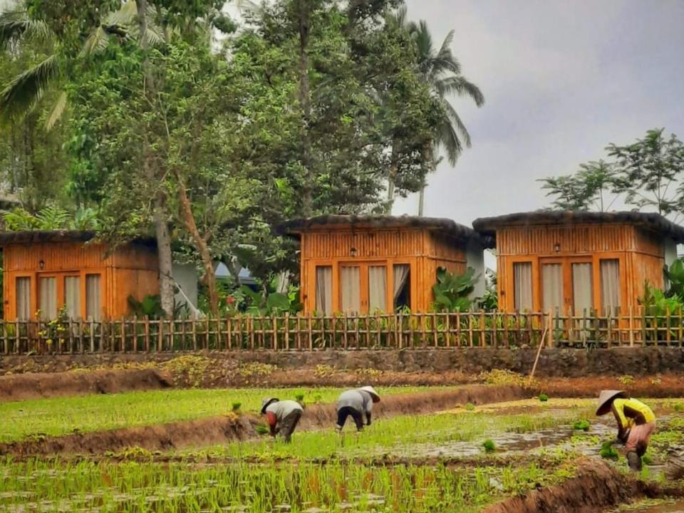 Sawah Ijen Licin Exterior foto