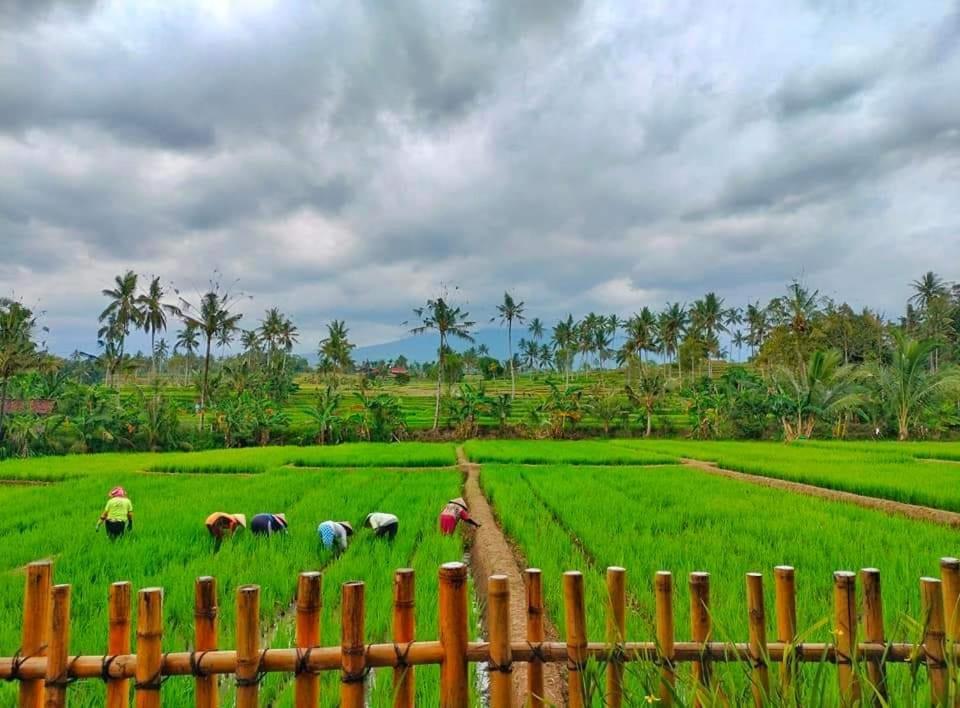 Sawah Ijen Licin Exterior foto