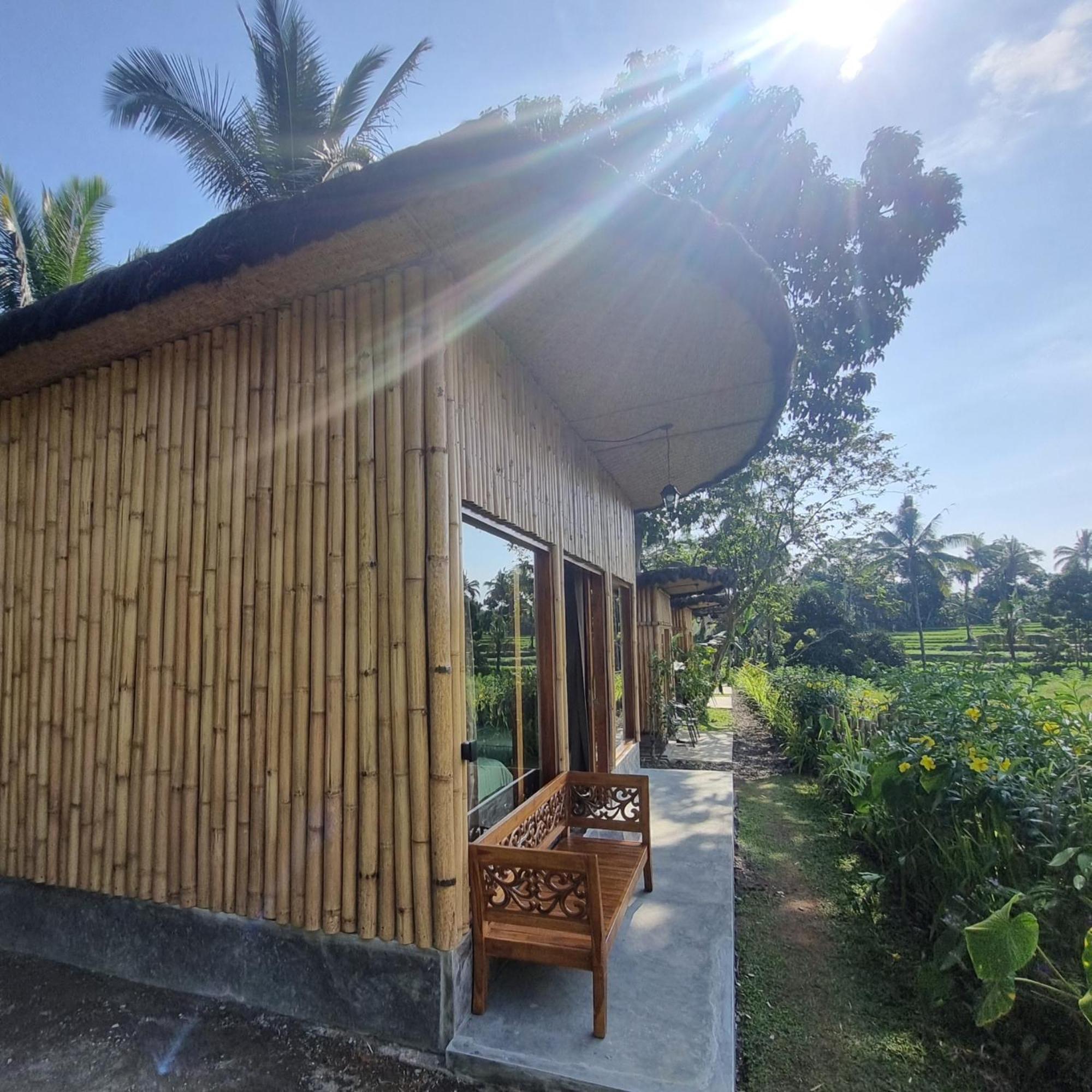 Sawah Ijen Licin Exterior foto